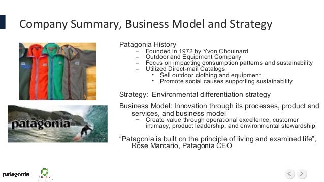 The Marketing Plan Of The Patagonia Marketing