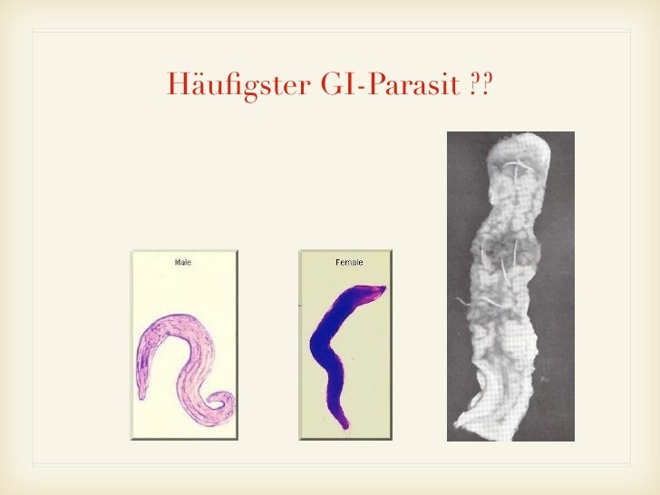 Die Tropfen von den Parasiten für die Kinder