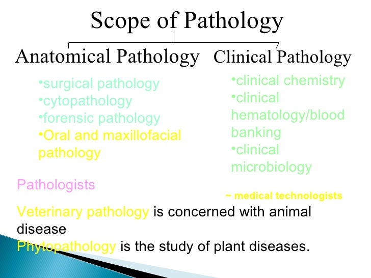 Pathology 1 intro