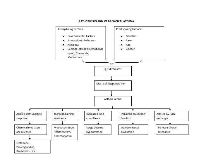 Pathophysiology of bronchial asthma