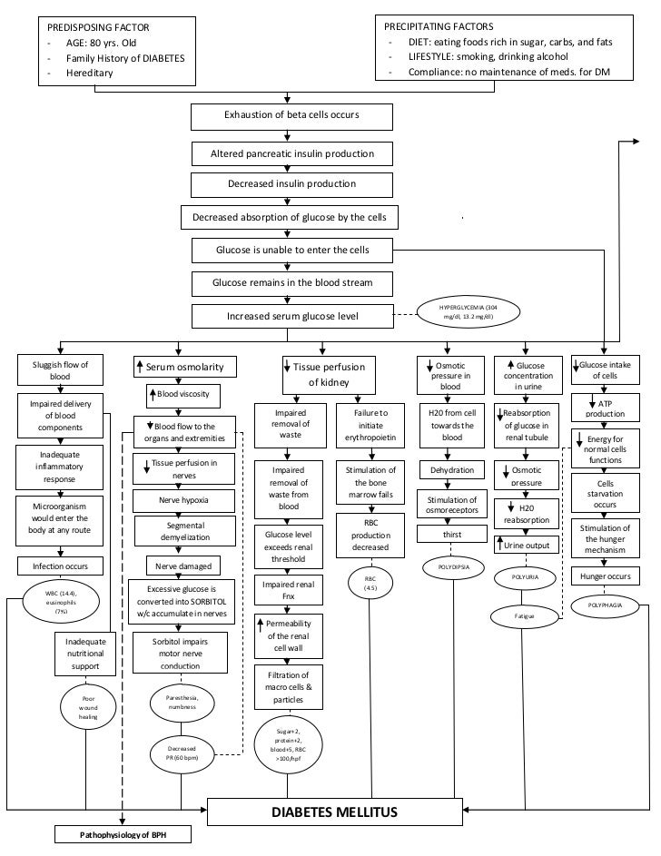 pathophysiology of diabetes mellitus pathophysiology of diabetes mellitus in flow chart