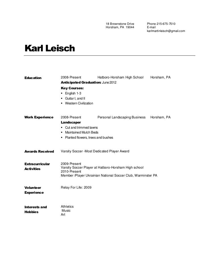 Copy of resume professional