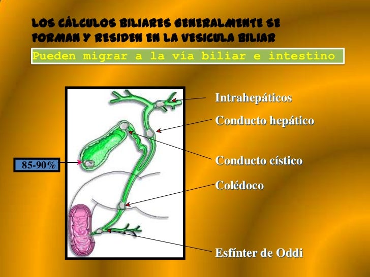 Patología biliar benigna