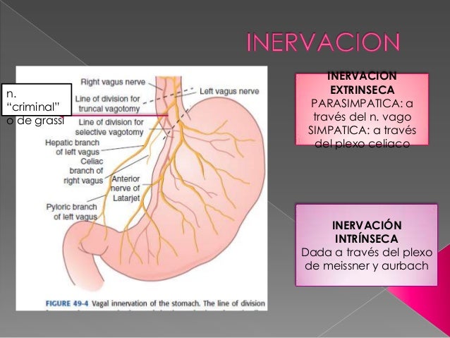 Oxido nitrico Oxido nitrico
