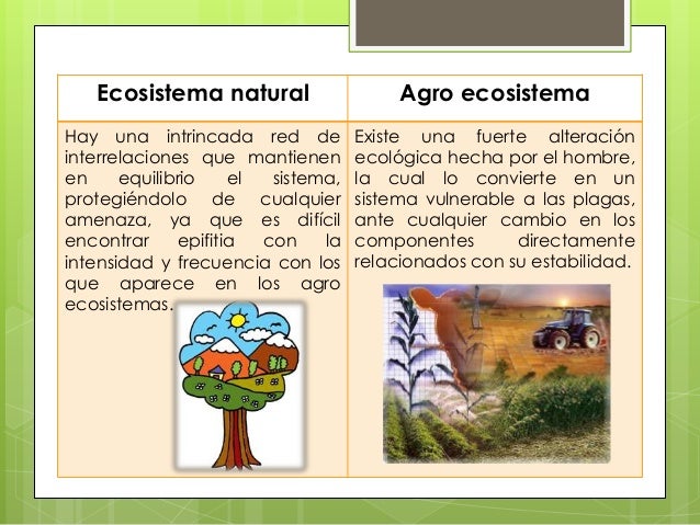 Resultado de imagen para agroecosistemas y ecosistemas primarios