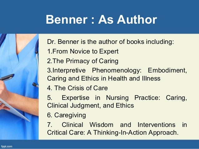 benner s novice to expert theory