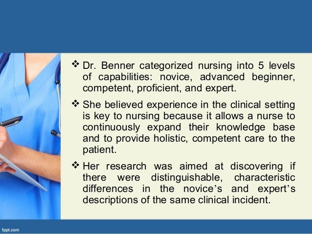 benner s novice to expert theory