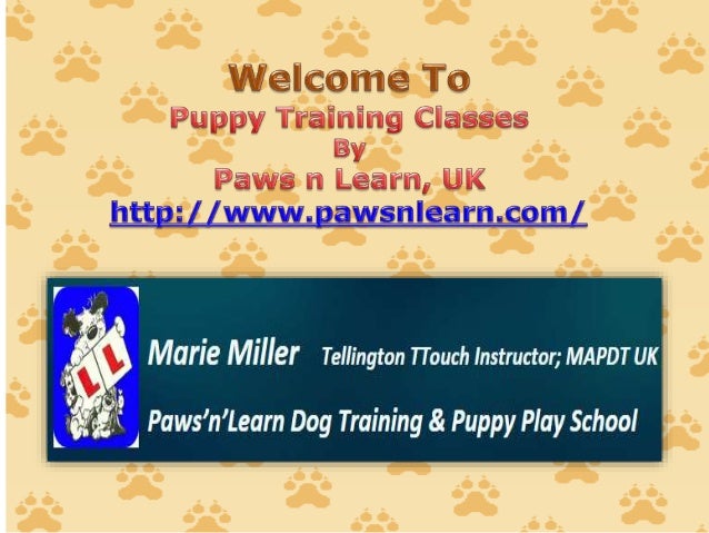 Dog Training Nuneaton Dog Training Nuneaton