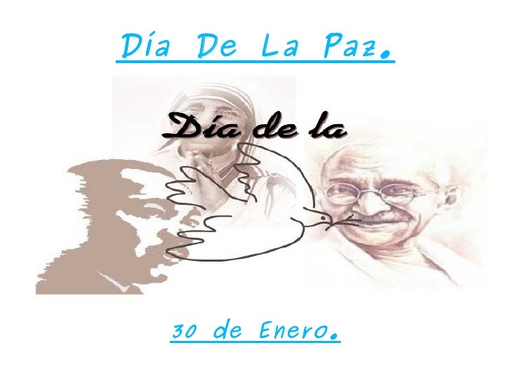 INSTITUTO DE LA PAZ instituto de la paz: