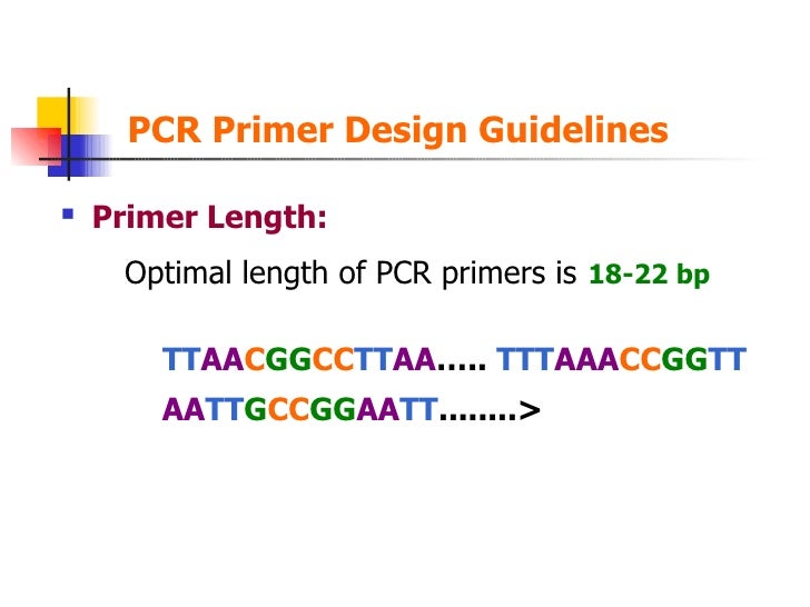 pcr pcr primer