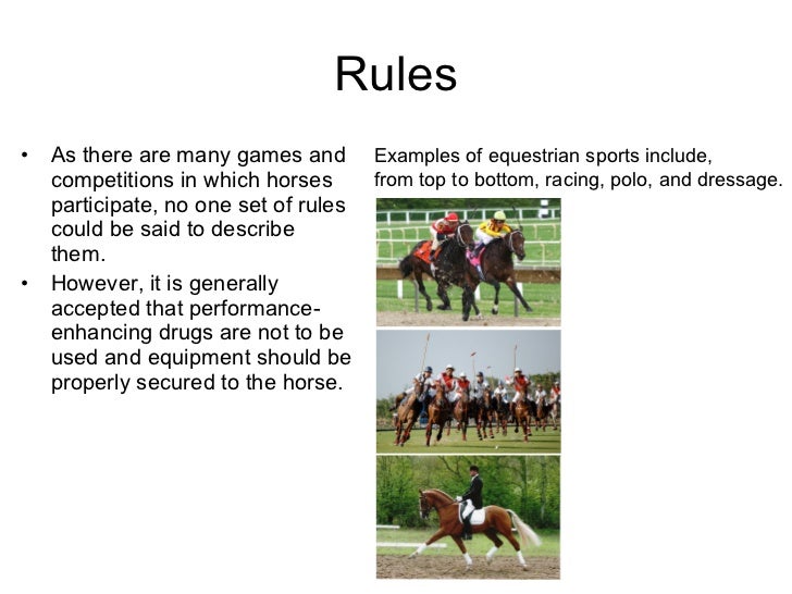 Finn's Horseback Riding Presentation