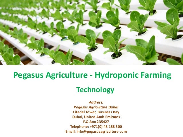 Pegasus Agriculture - Hydroponic Farming Technology Address: Pegasus ...