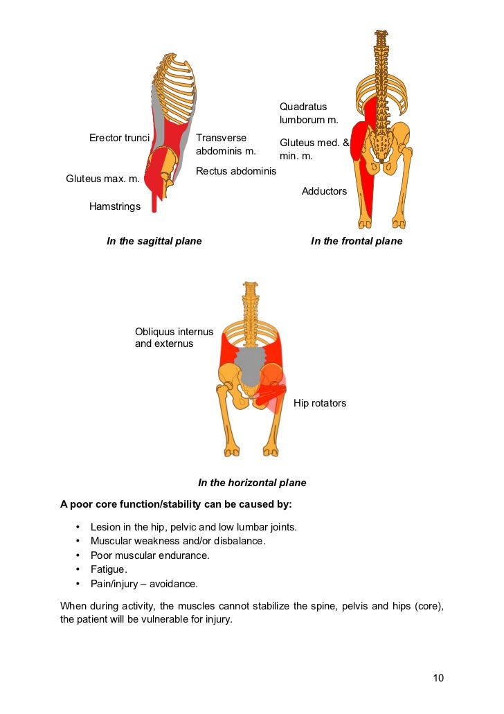 Pelvic, Hip and Core Stability