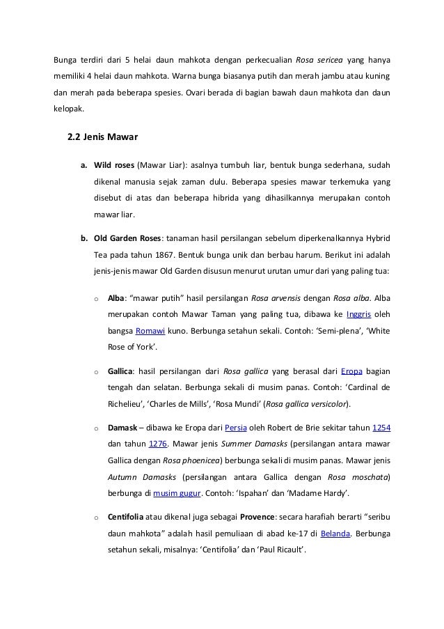 MakalahPemuliaanTanamanMawar MakalahPemuliaanTanamanMawar