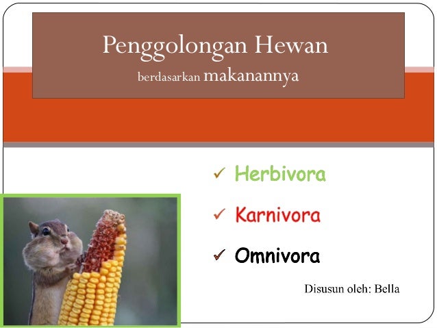 Penggolongan hewan Karnivora Herbivora Omnivora