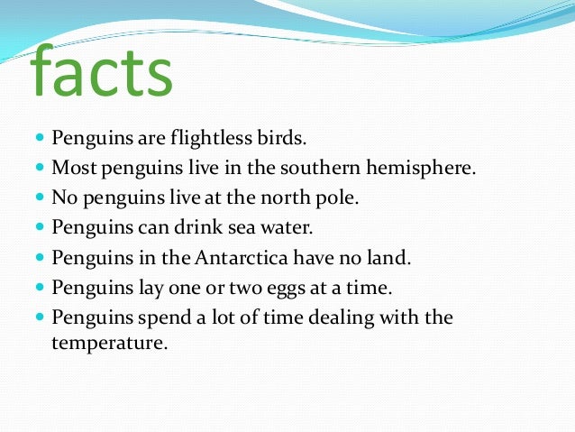 Can Penguins Drink Sea Water Can Penguins Drink Sea Water