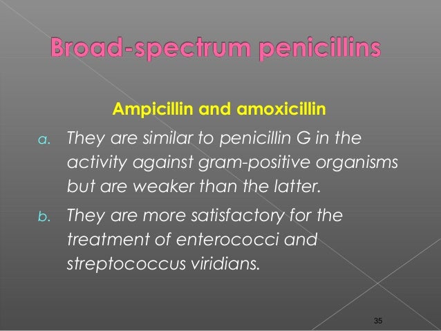 Ampicillin And Amoxicillin Metabolism