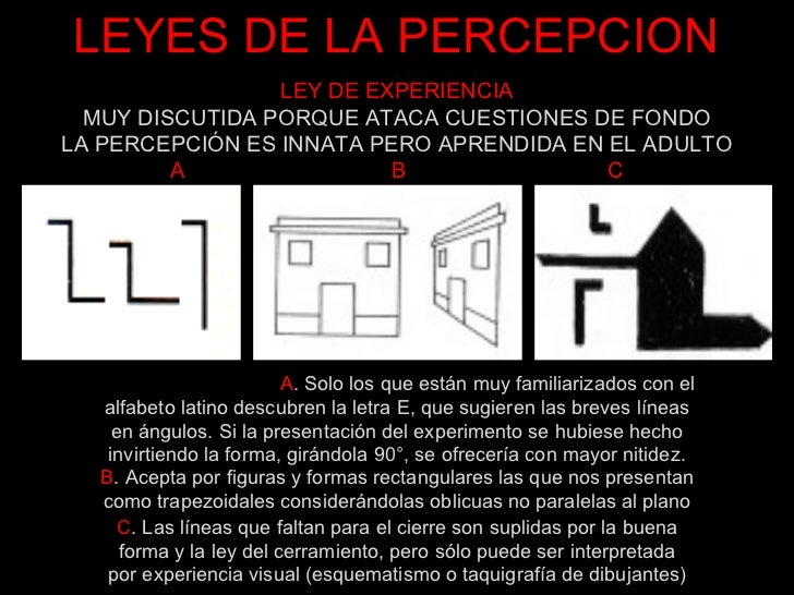 Resultado de imagen para sensacion y percepcion leyes