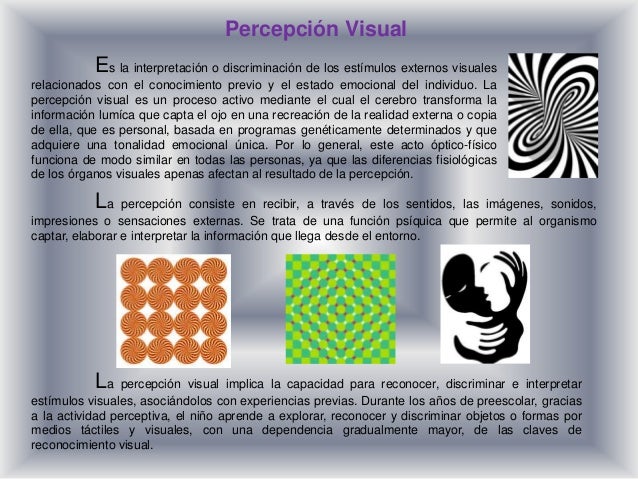 Percepcion visual de la forma