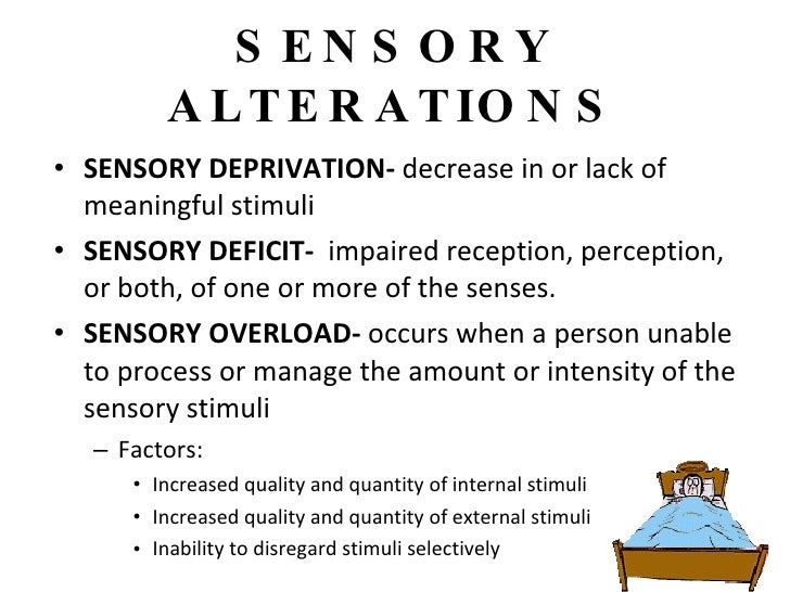 Perception And Coordination Revised