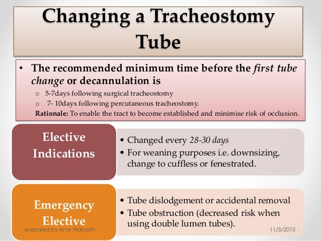 What Is a Tracheostomy recommendations What Is a Tracheostomy recommend