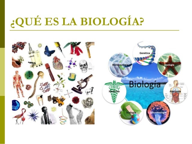 Biologia