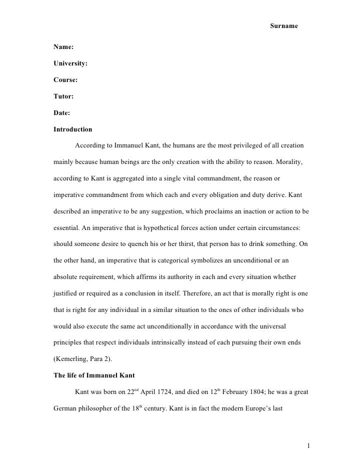 Essay format example mla