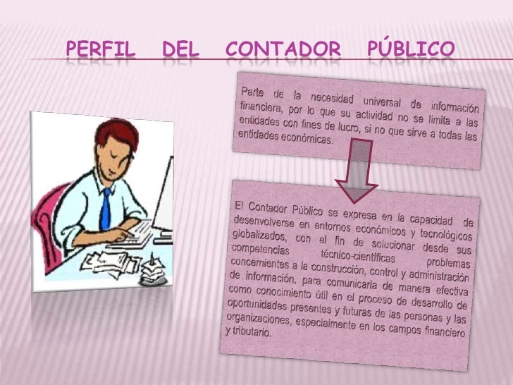 Descripcion De Puesto De Un Contador Publico