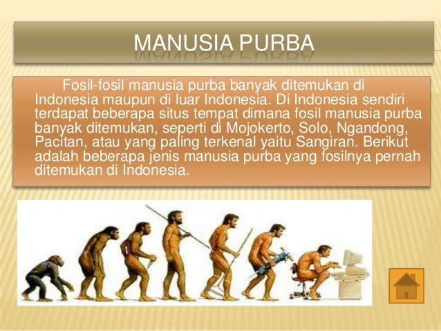 Perkembangan biologis manusia purba di indonesia