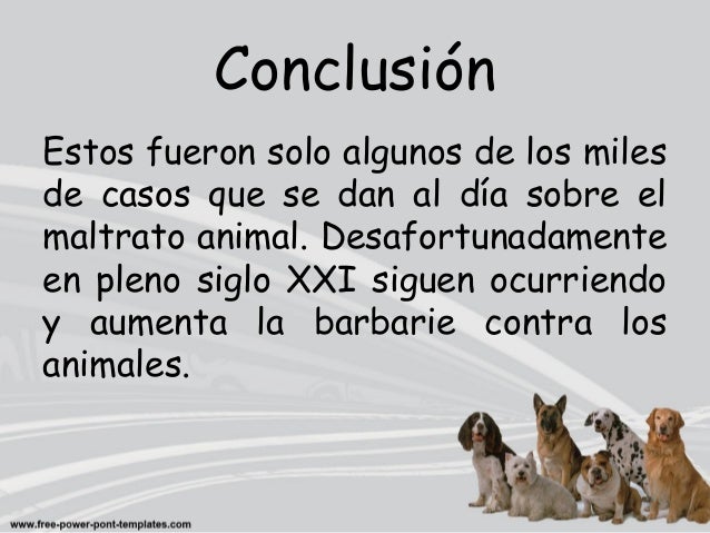 Casos de maltrato animal