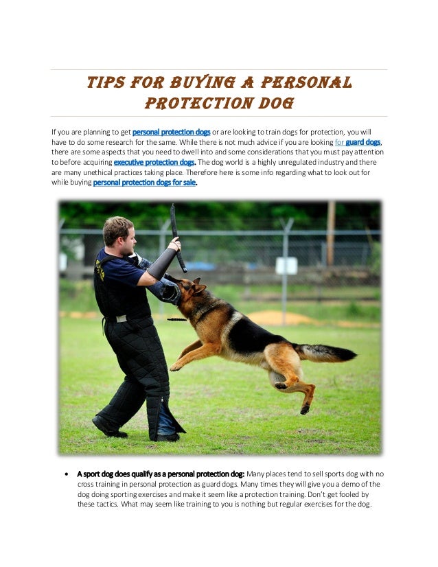 how to a for personal protection personal protection dogs how to a for personal protection personal protection dogs