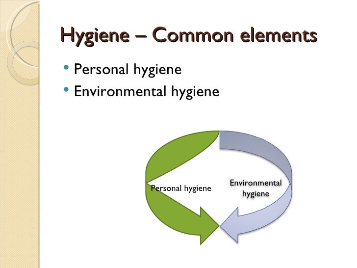 essay on personal and environmental hygiene