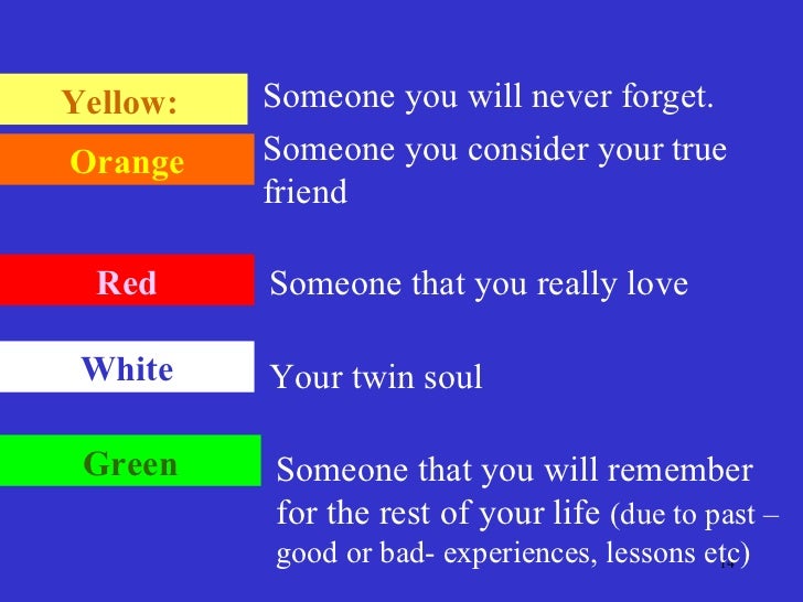 Cat And Dog Personality Test Cat And Dog Personality Test