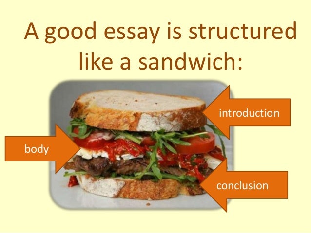 Structure of an argumentative essay