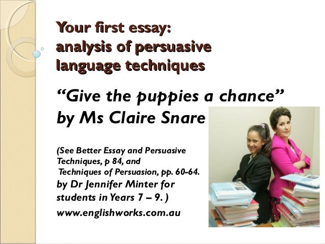 informative essay vocabulary informative essay vocabulary
