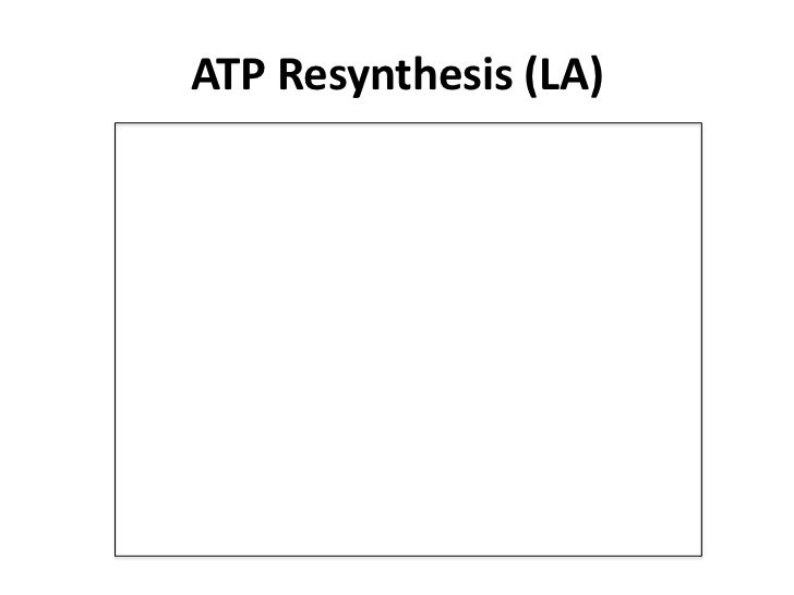 how is atp resynthesis how is atp resynthesis