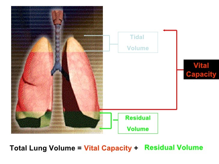 How to Measure Residual Lung Volume How to Measure Residual Lung Volume