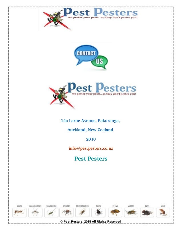 Pest and Bug Control Service in Auckland