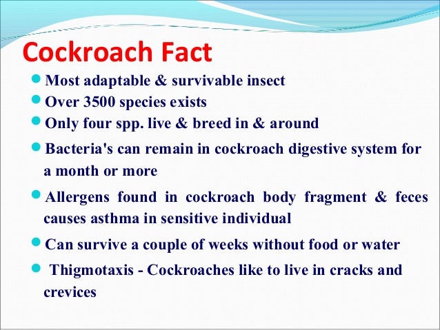 Find A Genuine Essays Writing Services Reviews - Cheap Essay