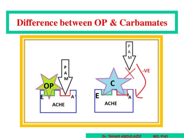 Communication on this topic: Pralidoxime, pralidoxime/ Communication on this topic: Pralidoxime, pralidoxime/