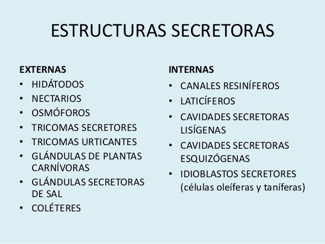 ESTRUCTURAS SECRETORAS
EXTERNAS
• HIDÁTODOS
• NECTARIOS
• OSMÓFOROS
• TRICOMAS SECRETORES
• TRICOMAS URTICANTES
• GLÁNDULA...