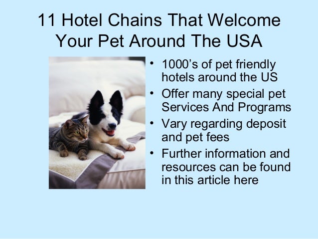 friendly hotel chains best pet friendly hotels chains in the usa that welcome your pet friendly hotel chains best pet friendly hotels chains in the usa that welcome your pet