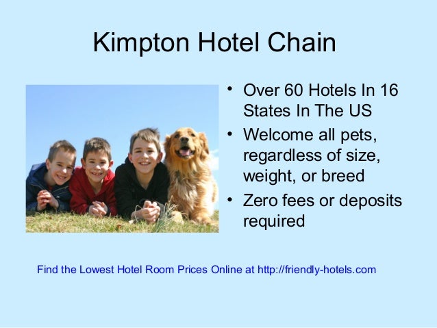 friendly hotel chains best pet friendly hotels chains in the usa that welcome your pet friendly hotel chains best pet friendly hotels chains in the usa that welcome your pet