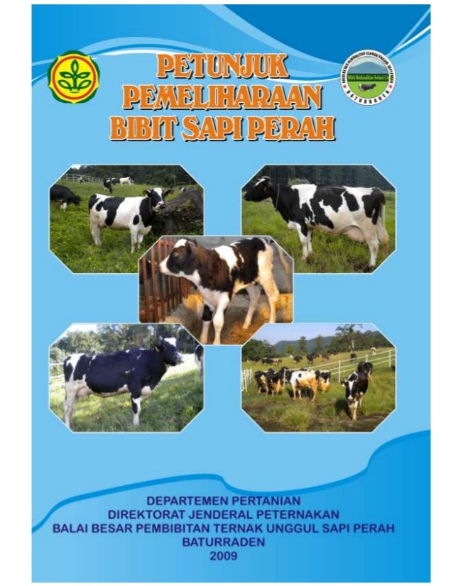 Pemeliharaan dan Perawatan Harian Unggas dan Sapi Perah di Skala Rumah Tangga