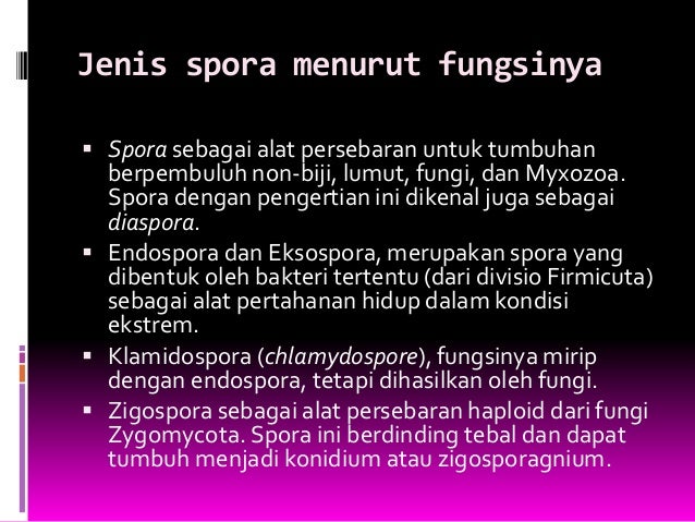 Arti Kata Spora Kamus Besar Bahasa Indonesia Lektur Id