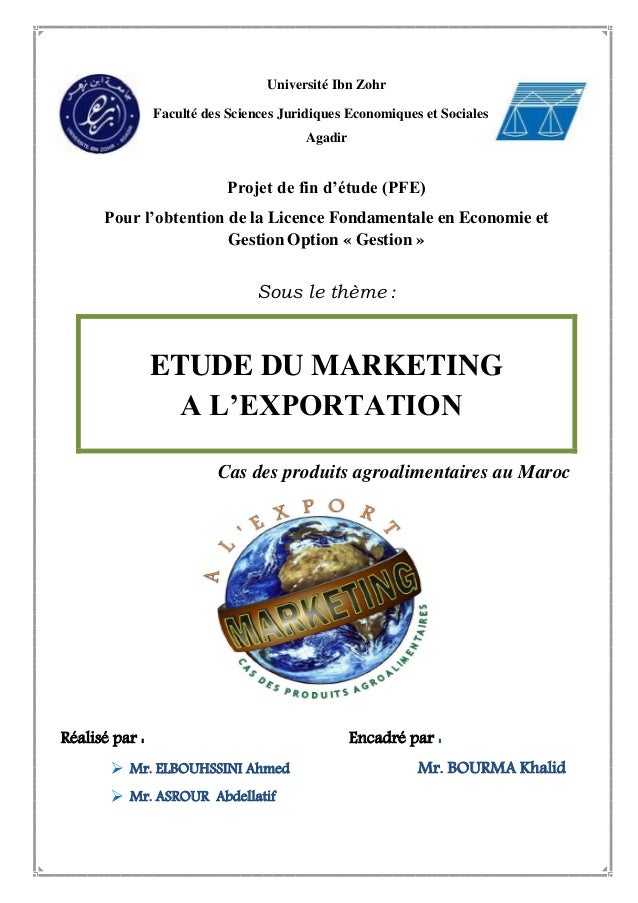 exemple de pfe en economie