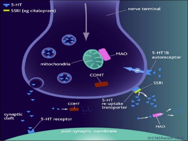 sertraline or fluoxetine for pmdd