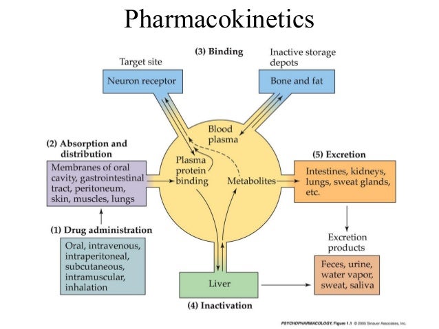 types of drugs