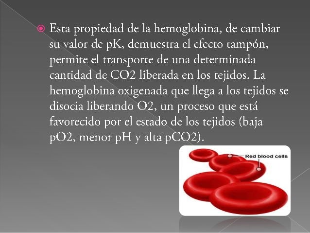 PH-Amortiguadores Fisiologicos PH-Amortiguadores Fisiologicos