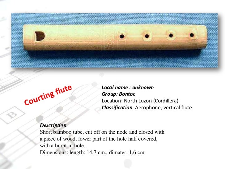 Philippine Ethnic Instrument 11